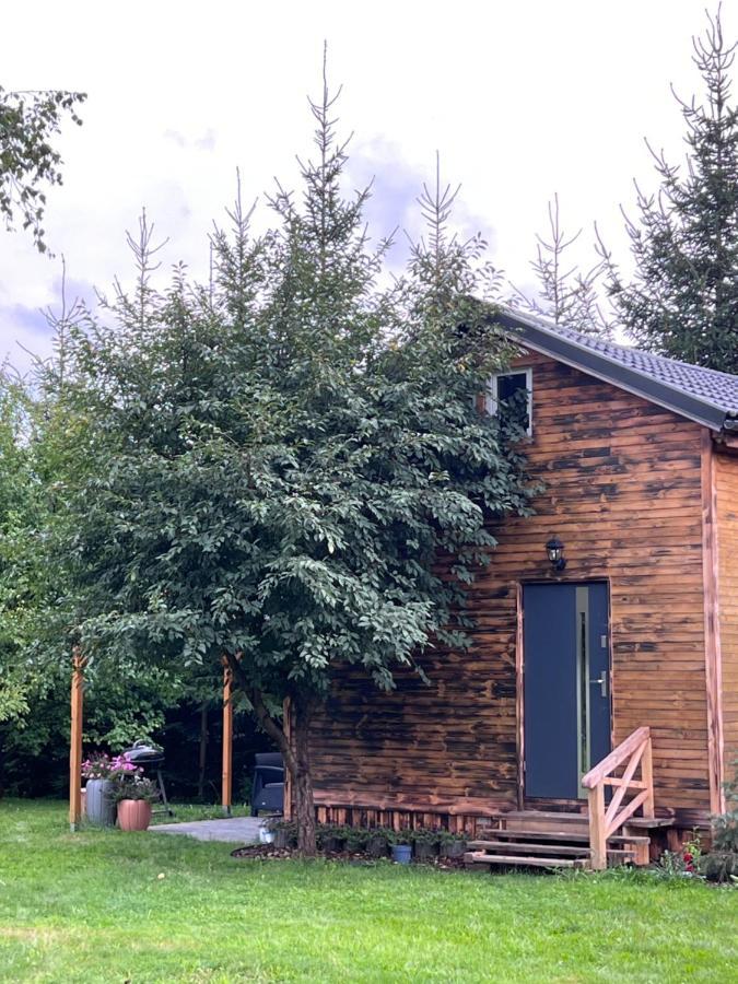 Jezowka I Sudetka Villa Jezow Sudecki Exterior foto